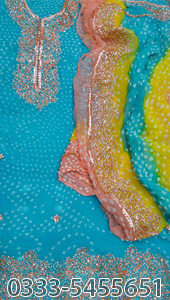 Kundan Gota